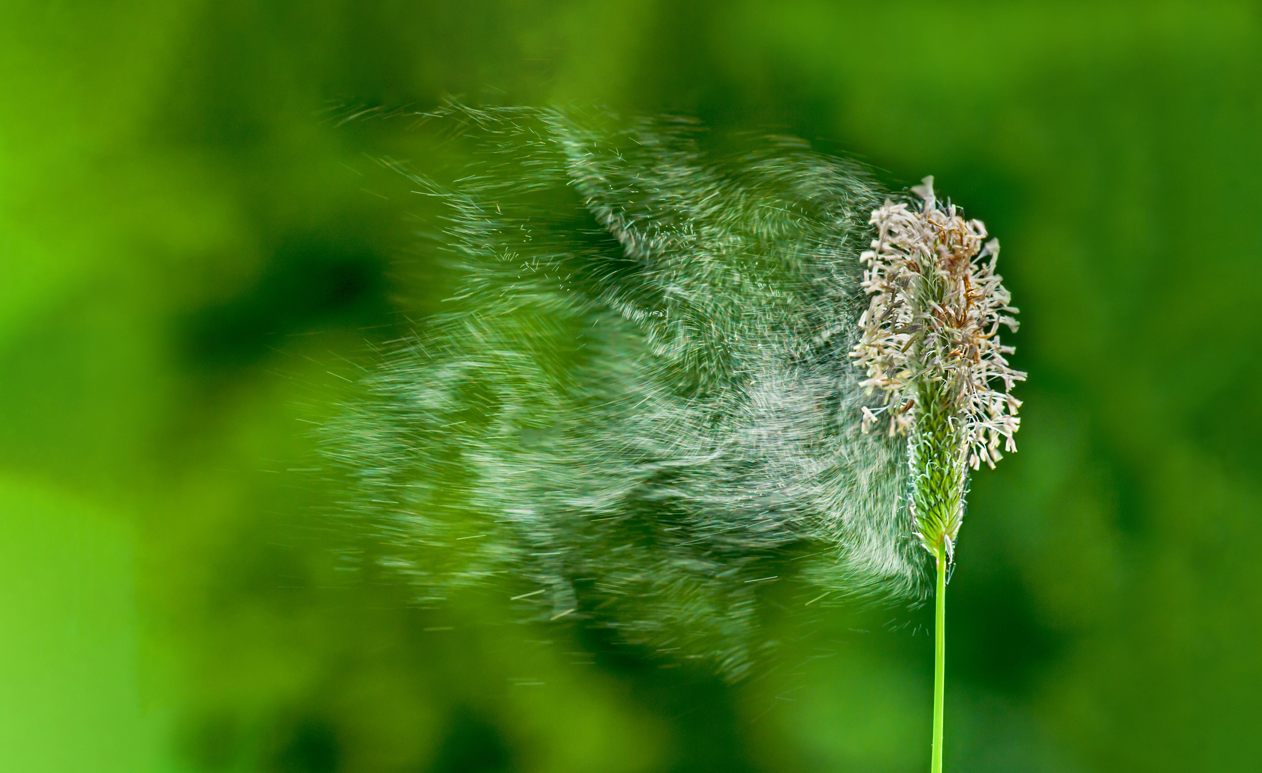 AdobeStock_350916250.jpg