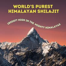 Ayurvedic Shilajit
