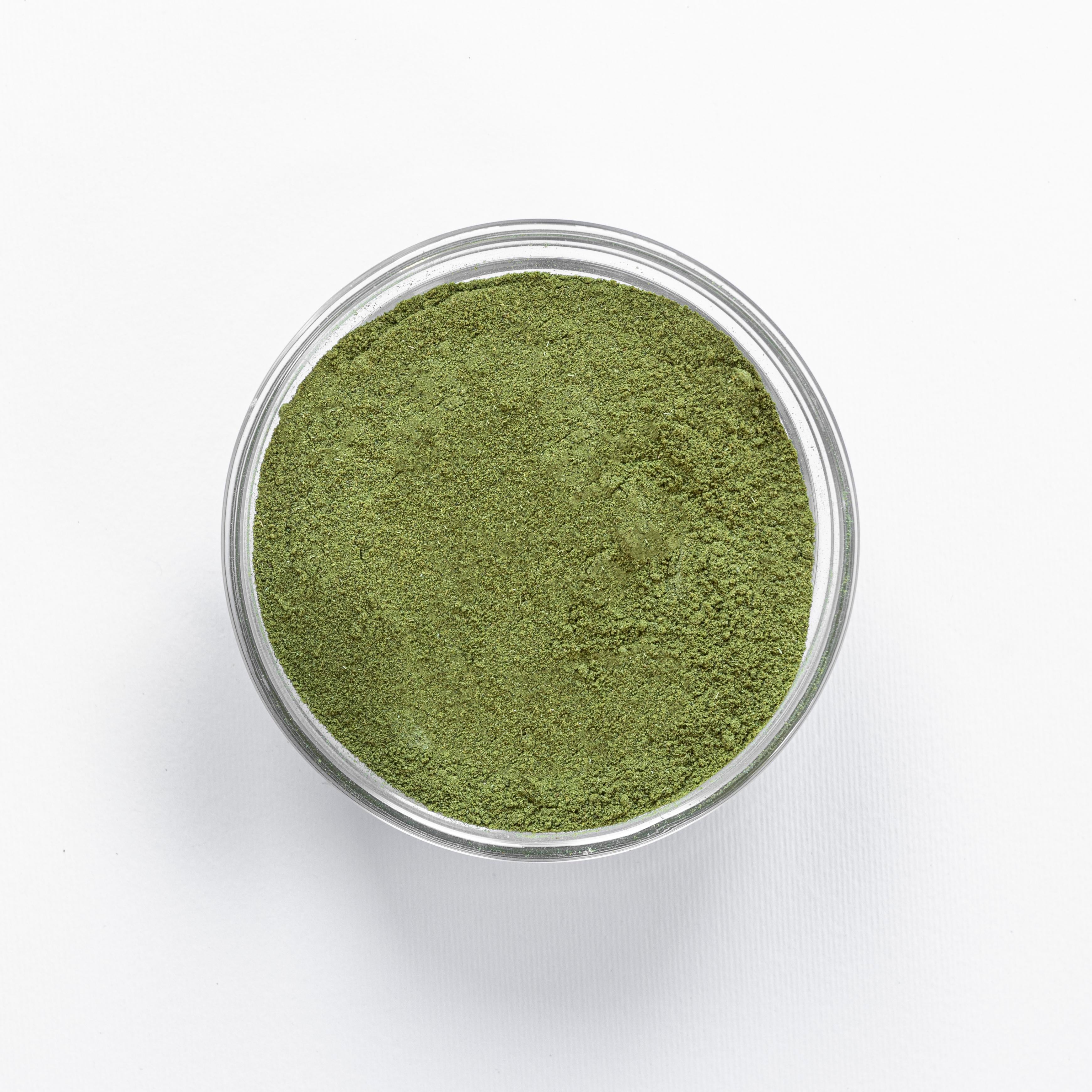 Bhumyamalaki Powder