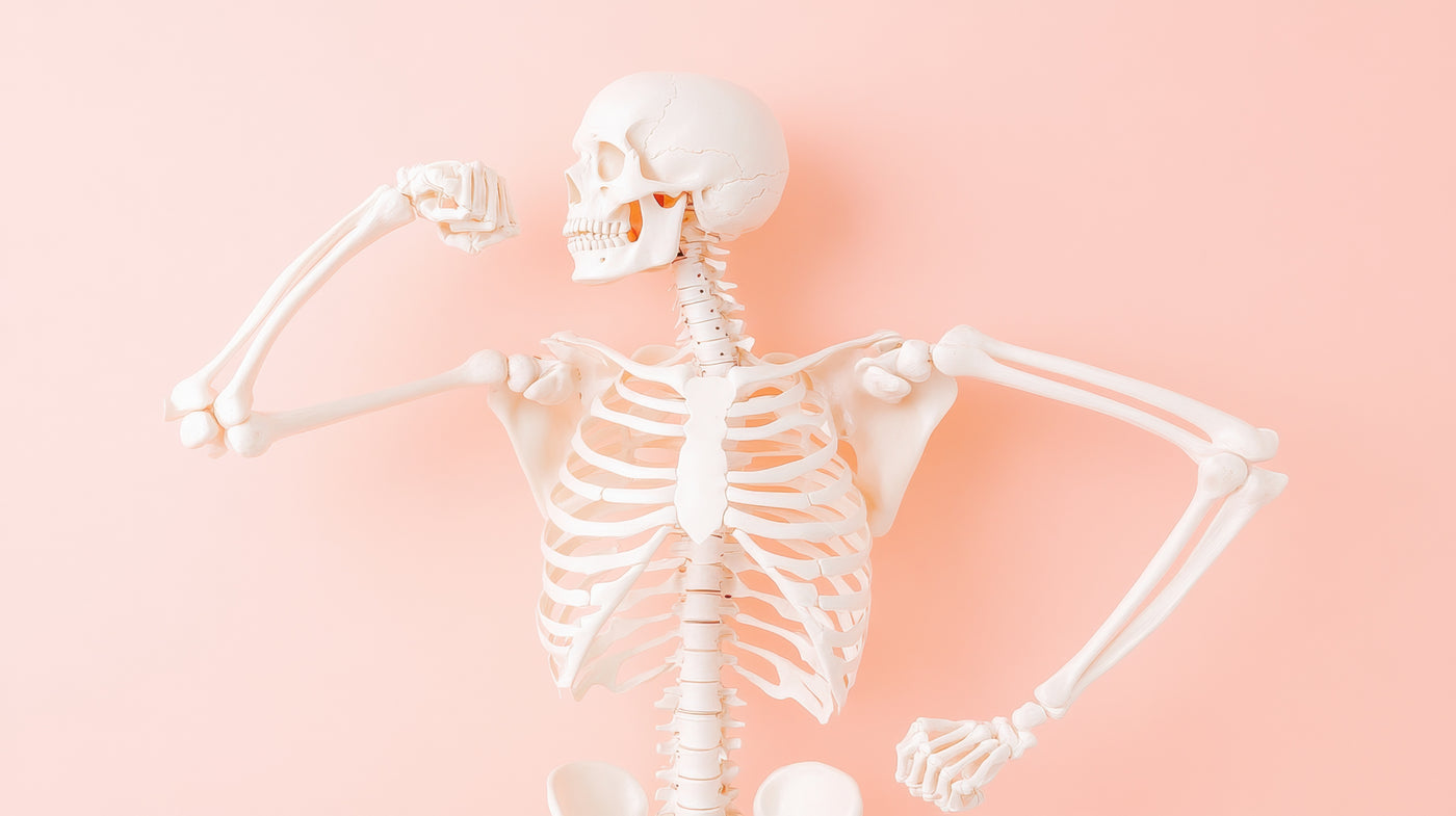Bone & Joint