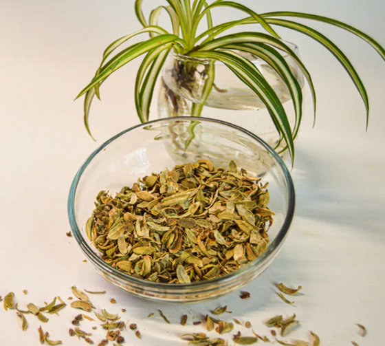 Ela "Cardamom" Cut & Sift