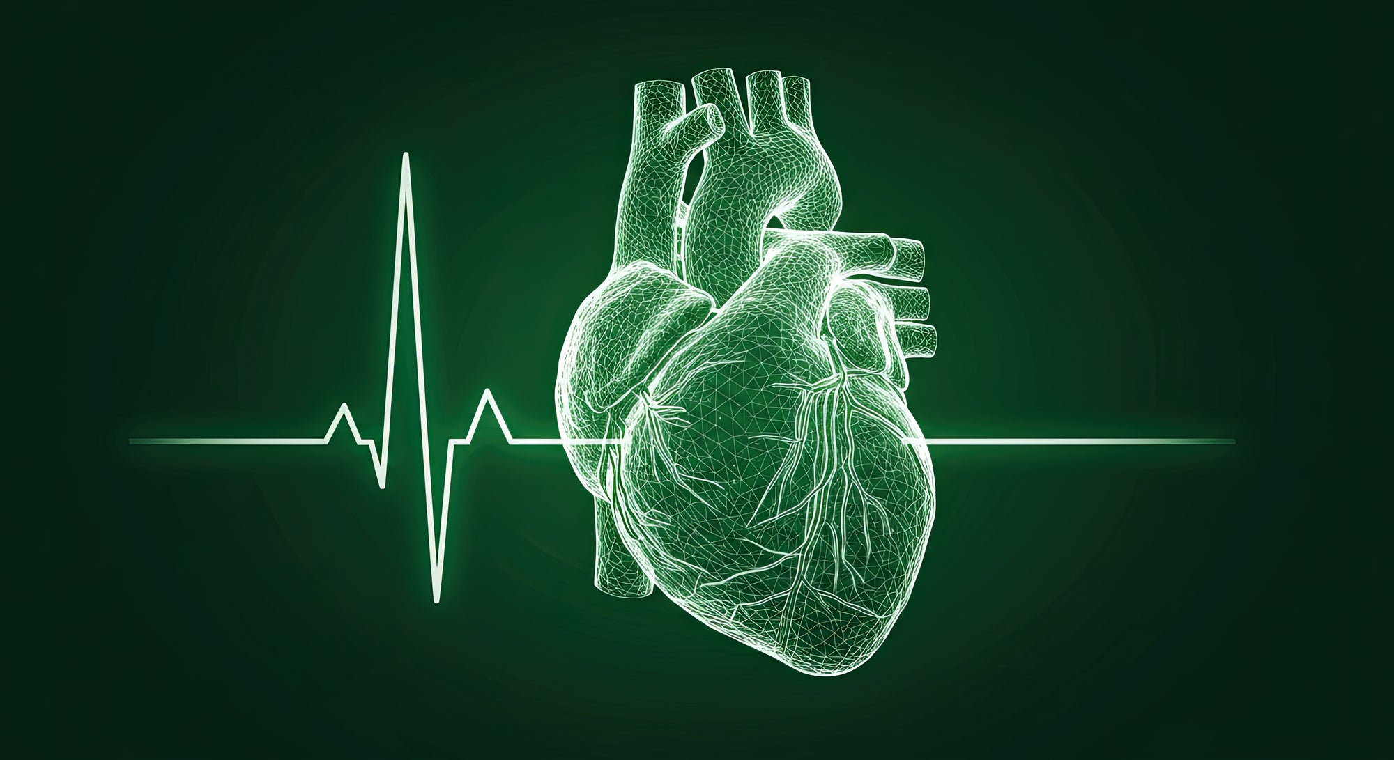 Heart