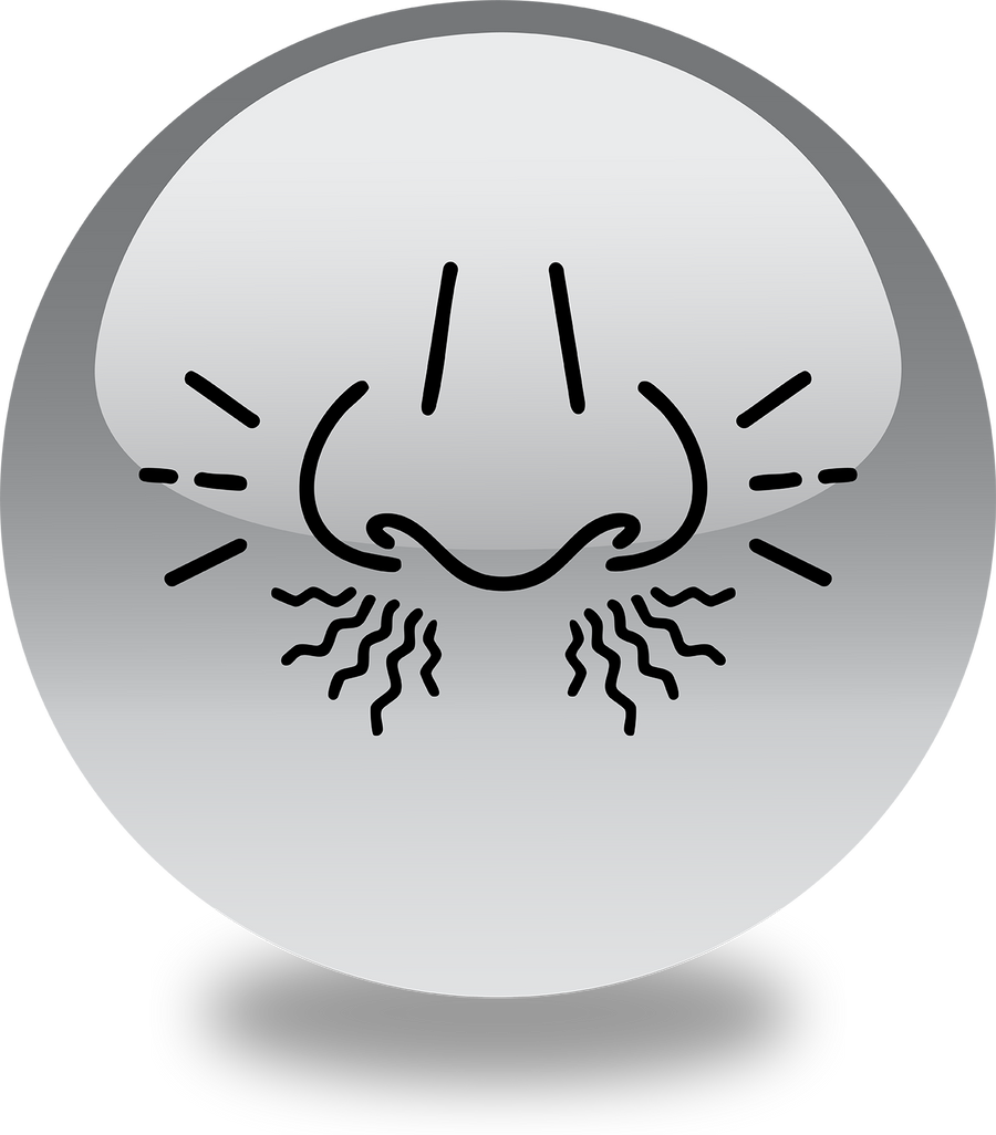 Symptom illustration